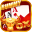rummy passion