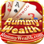 rummy type icon